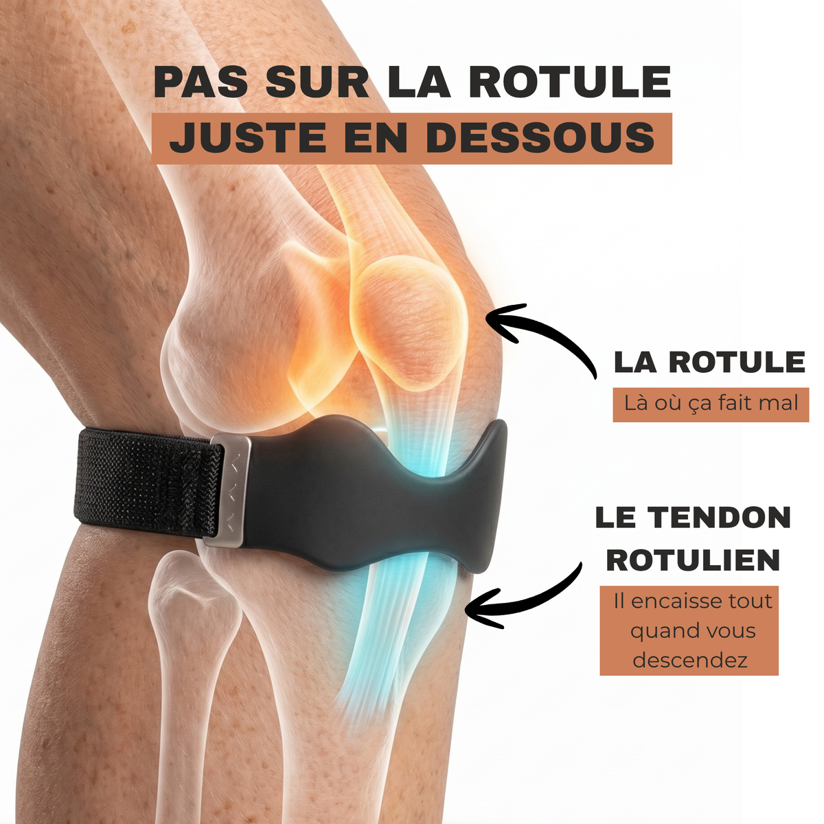 Sangle rotulienne Melliana